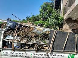 Best Attic Cleanout  in Martinez, CA